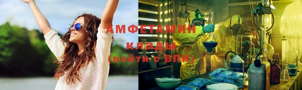 индика Аркадак