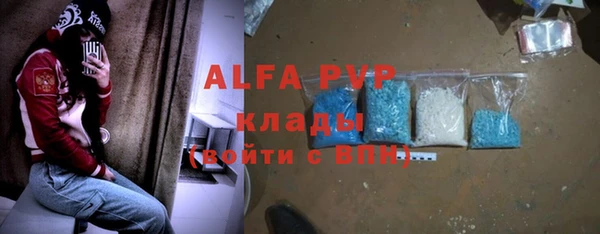 индика Аркадак
