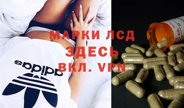 эйфоретик Арсеньев