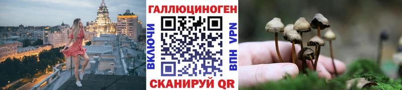 Купить где  Отрадная  Галлюциногенные грибы мухоморы 